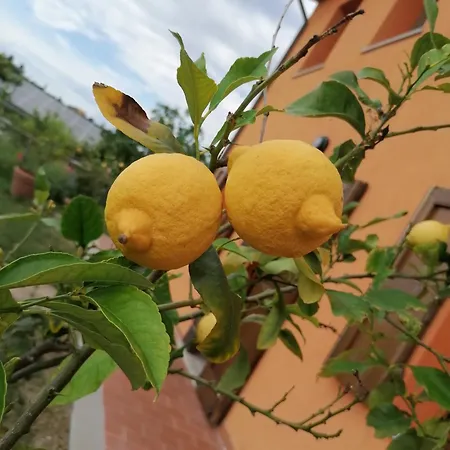 Borgo Stella Farm stay