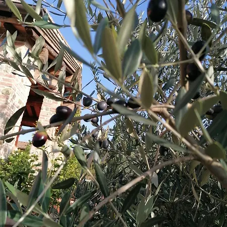 Farm stay Borgo Stella